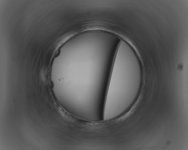 X0000094071145200710190950