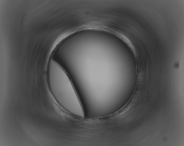 X0000094071146200710190950
