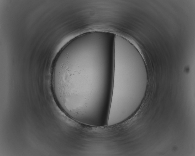 X0000094071147200710190950