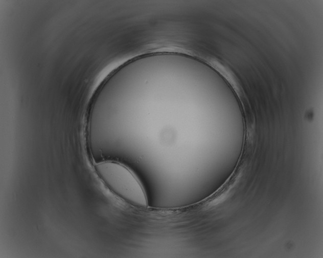 X0000094071149200710190950