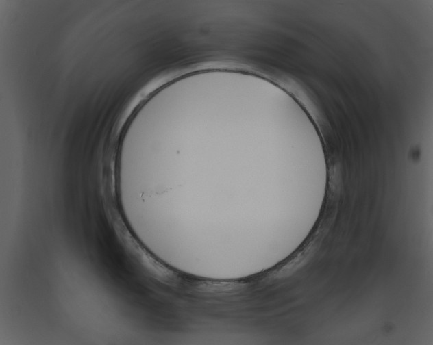 X0000094071150200710190950