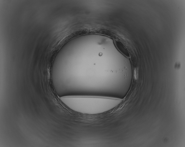X0000094071155200710190949