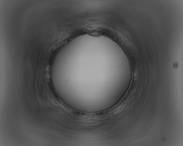 X0000094071156200710190949