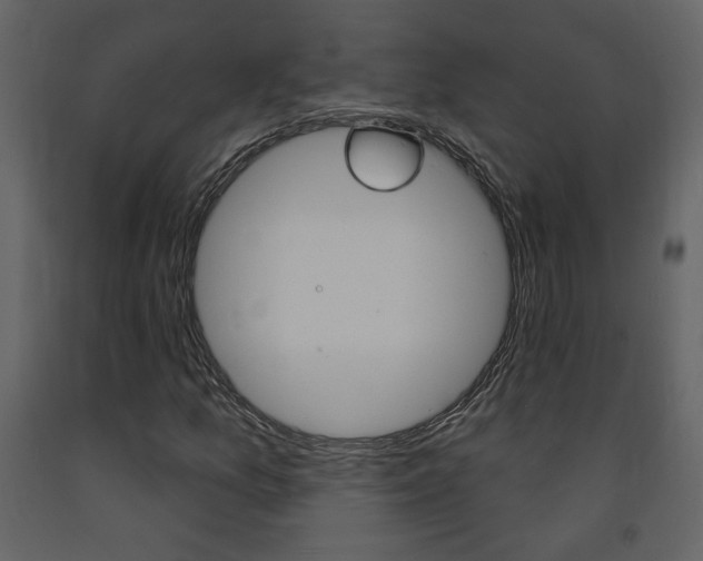 X0000094071157200710190949