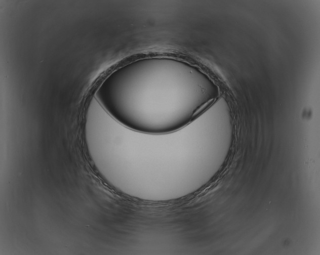 X0000094071160200710190949