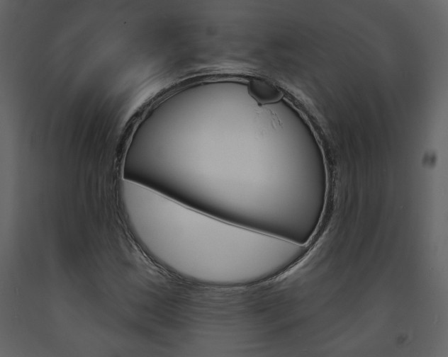 X0000094071163200710190949