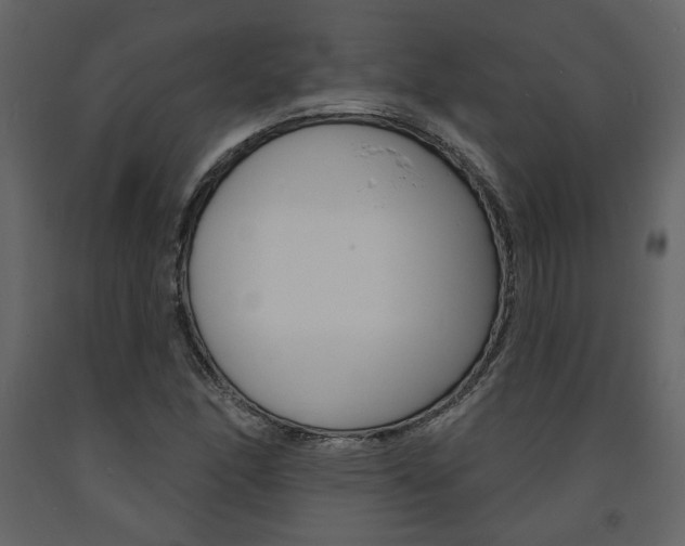 X0000094071166200710190949
