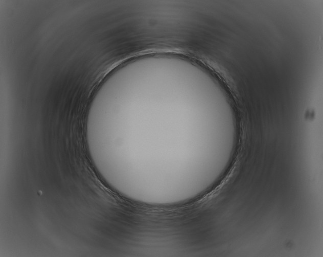 X0000094071169200710190949