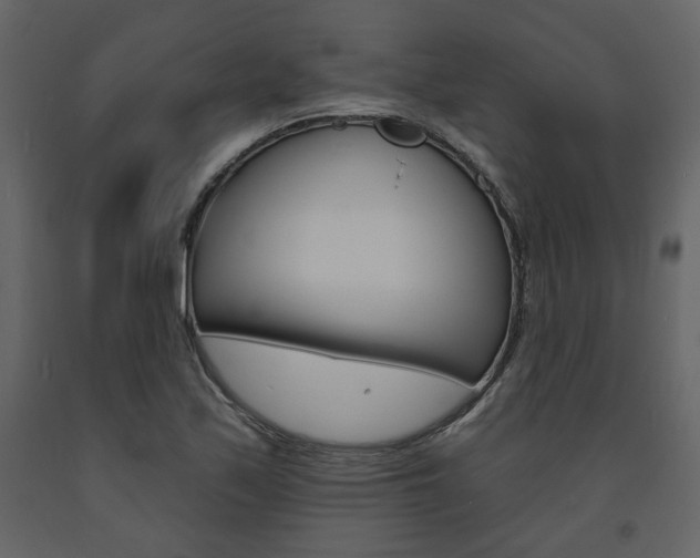 X0000094071171200710190949
