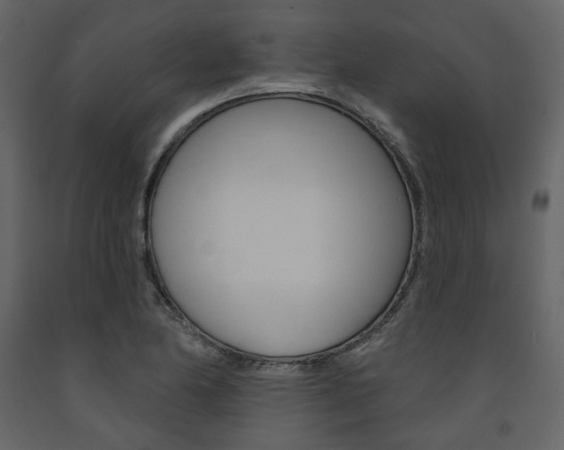 X0000094071174200710190949