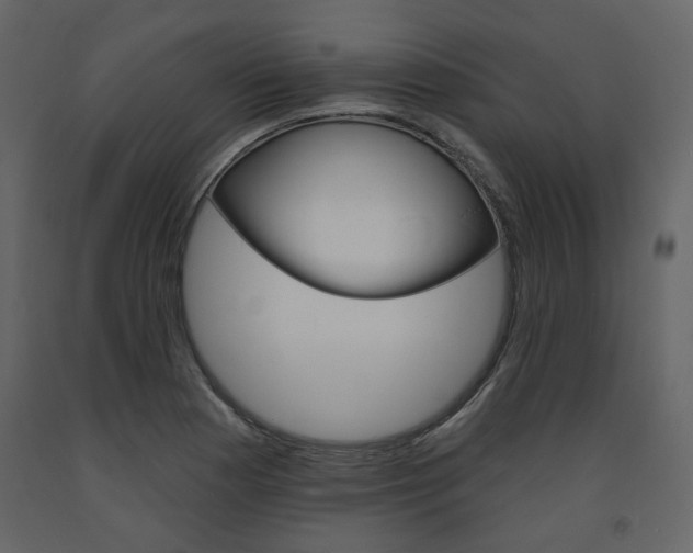 X0000094071177200710190949
