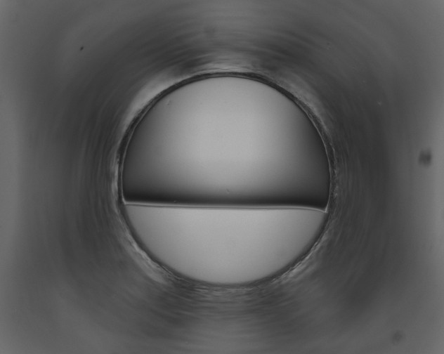 X0000094071179200710190949