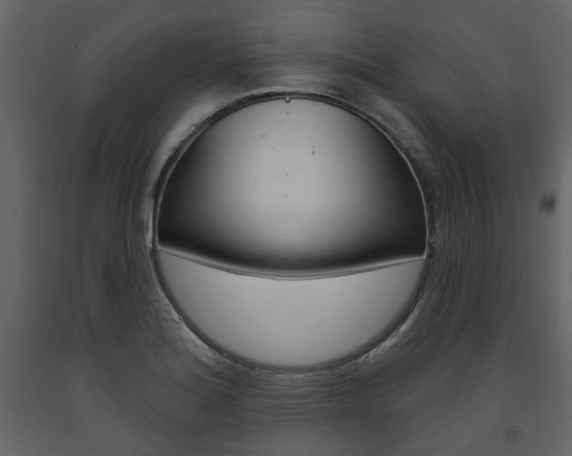 X0000094071180200710190949