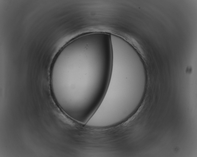 X0000094071184200710190949