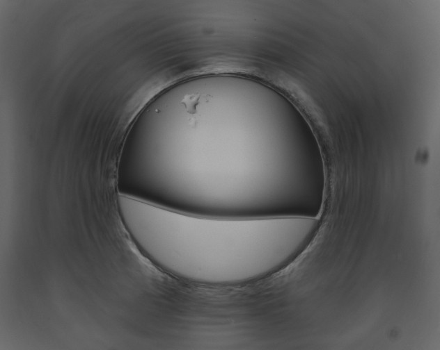 X0000094071185200710190949