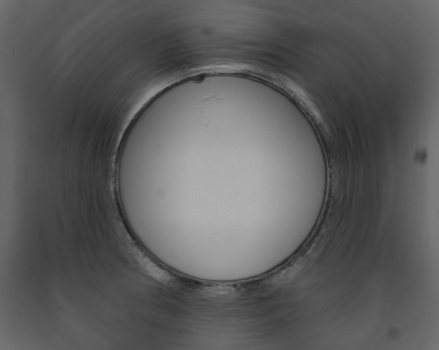 X0000094071186200710190949