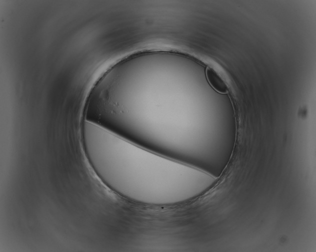 X0000094071191200710190949
