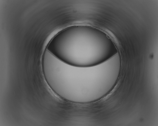 X0000094071196200710190949