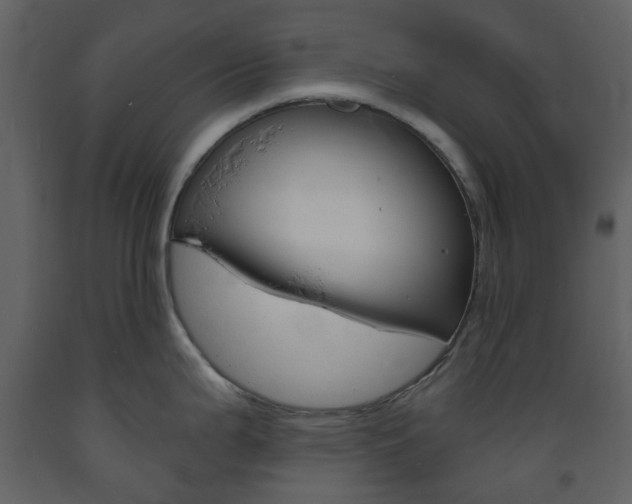 X0000094071199200710190949