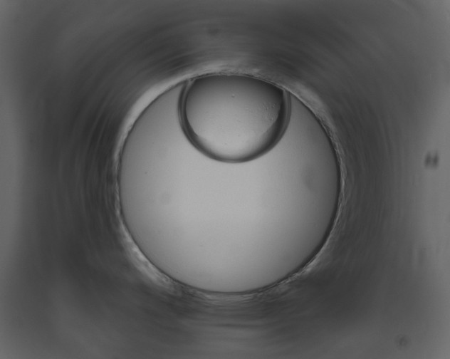 X0000094071200200710190949