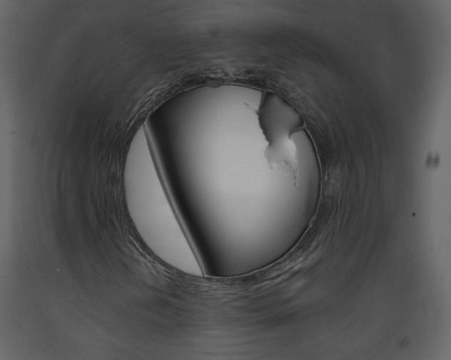 X0000094071202200710190948