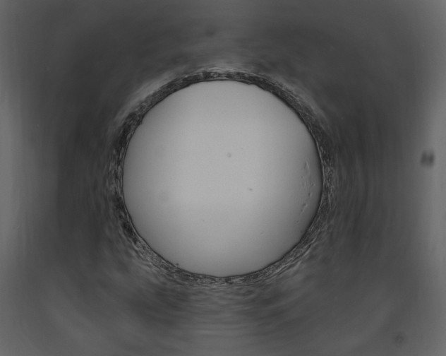 X0000094071207200710190948