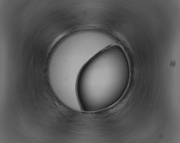 X0000094071210200710190948