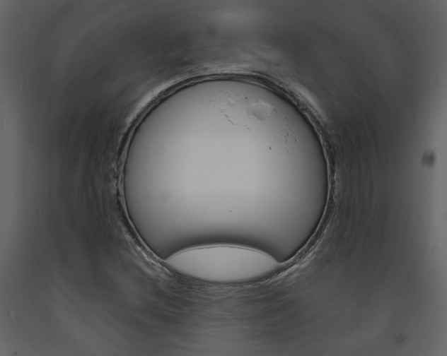 X0000094071212200710190948