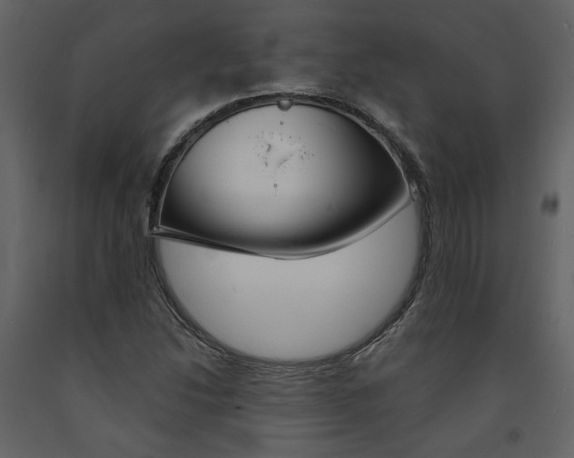 X0000094071214200710190948