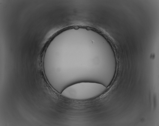 X0000094071215200710190948