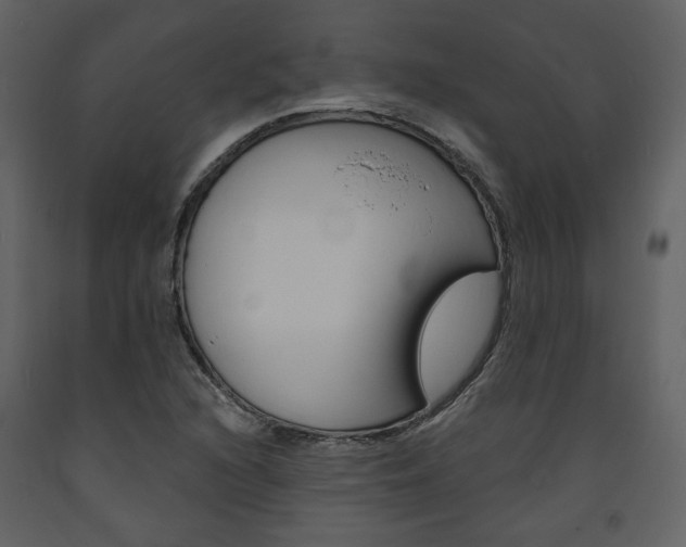 X0000094071216200710190948