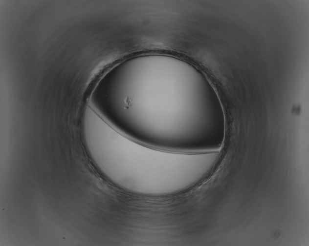 X0000094071218200710190948