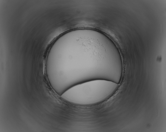 X0000094071219200710190948