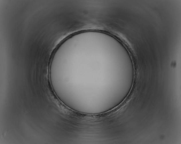 X0000094071220200710190948
