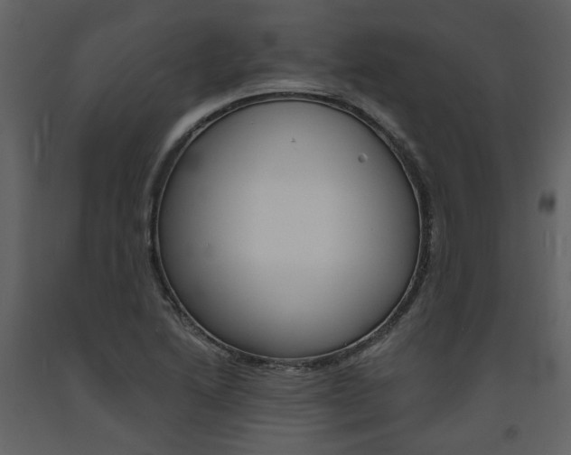 X0000094071222200710190948