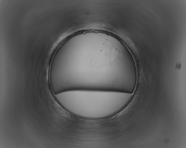 X0000094071224200710190948