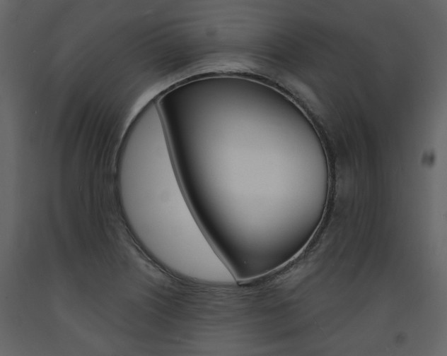 X0000094071226200710190948