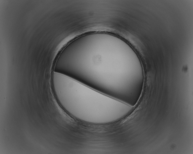 X0000094071229200710190948