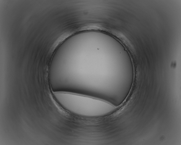 X0000094071233200710190948