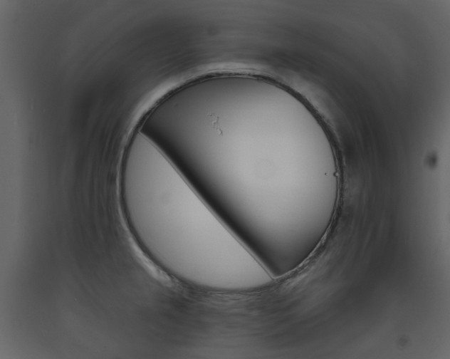X0000094071237200710190948