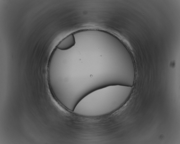 X0000094071239200710190948