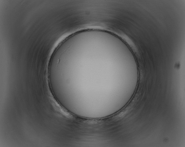 X0000094071240200710190948