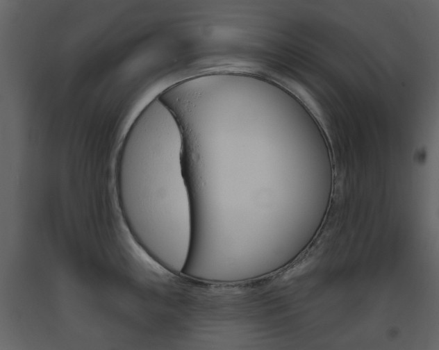 X0000094071243200710190948