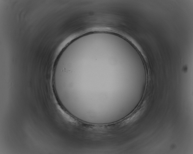 X0000094071245200710190949
