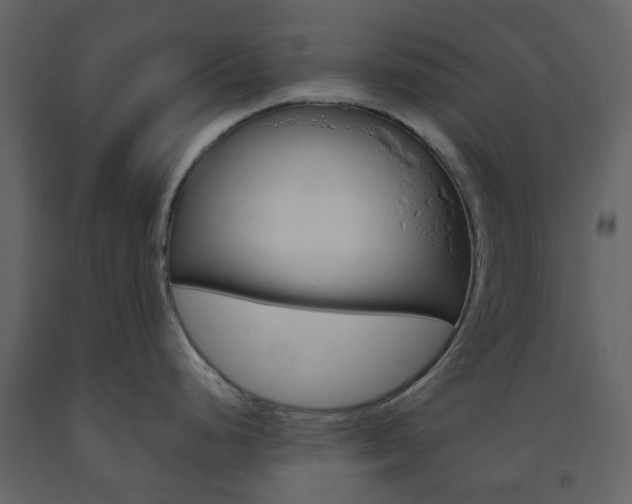 X0000094071248200710190949