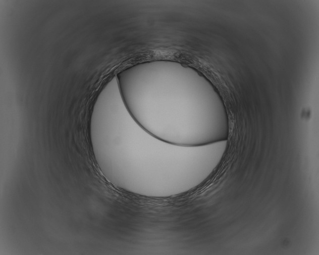 X0000094071249200710190948