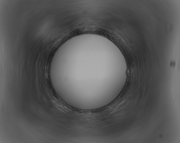 X0000094071250200710190948