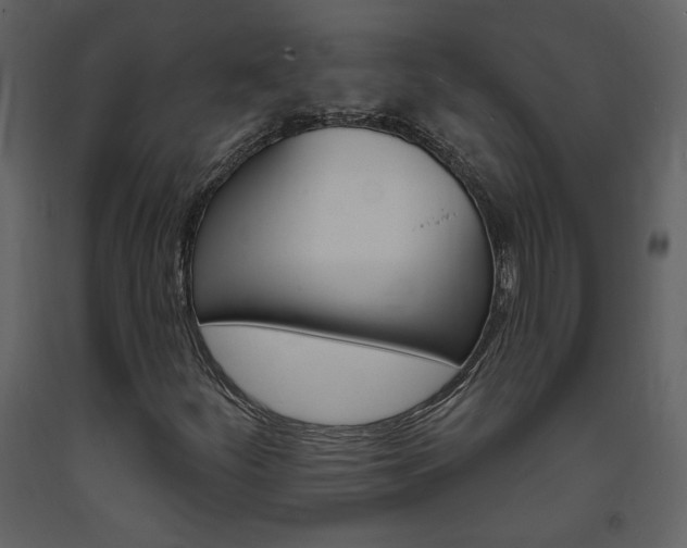 X0000094071252200710190948
