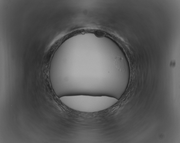 X0000094071255200710190948