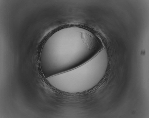 X0000094071256200710190948